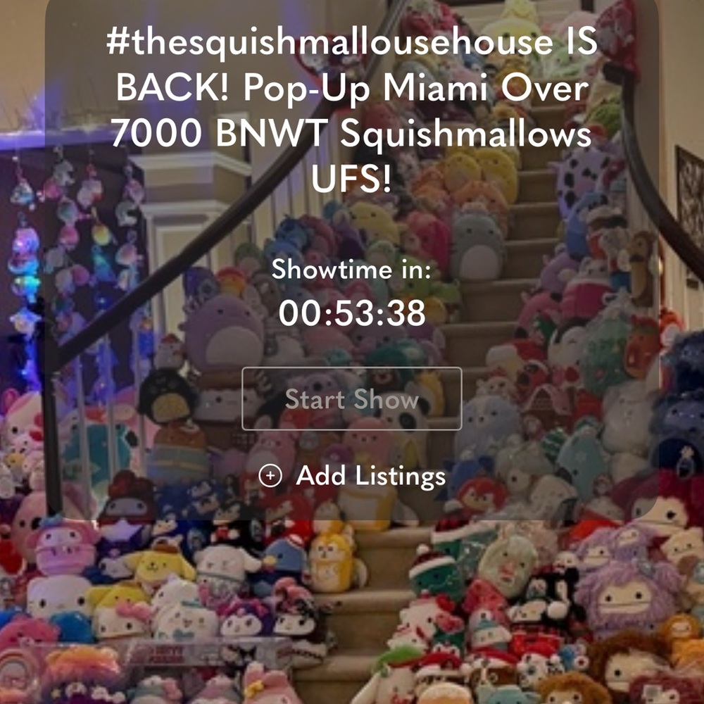 #thesquishmallowshouse is BACK! POP-UP Miami…and it’s 🔥 lit @the night show
